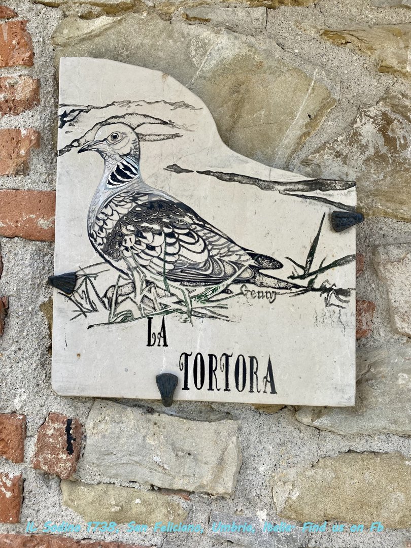 IL SODINO  - 2